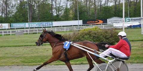 Væddeløbsbanen lørdag 19/5
