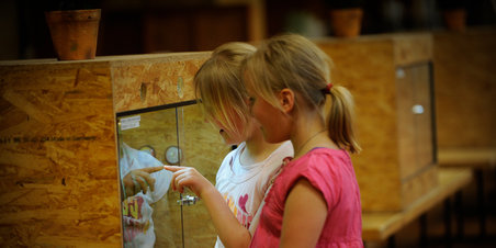 Reptilshow i Hørninghallen