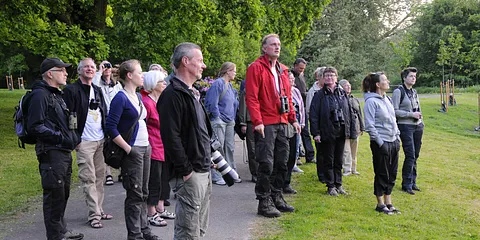 Byens skjulte fugle Pinsemorgen 2012