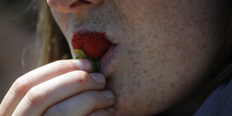 Røde Jordbær på Ingerslev 2. juni 2012