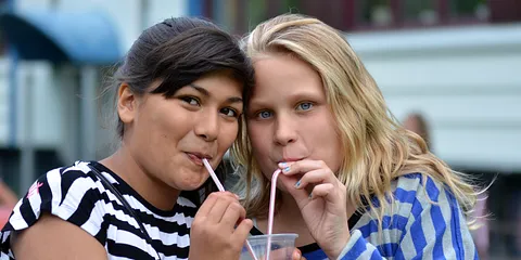 Sommerfest i Elstedhøj