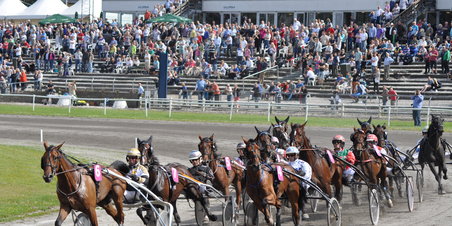 Væddeløbsbanen - Tuborg Jydsk 4-årings Grand Prix