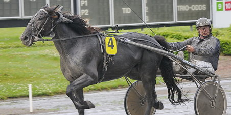 I mudder og regn - er Spotted på vej'n