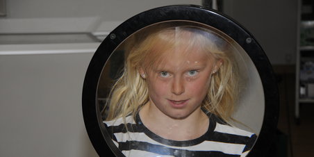 Regnvejrsforslag: Stenomuseet