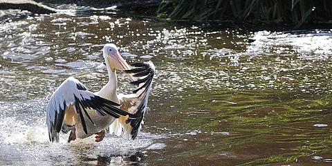 Skynd dig mens solen skinner