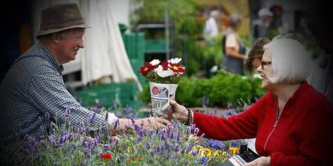 Grønttorvet - agurketid / nej ...