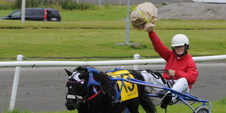 Heste i alle størrelser på JVB