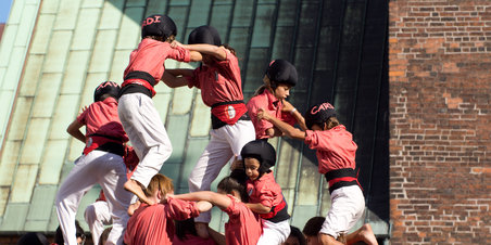 Festuge - Colla Vella