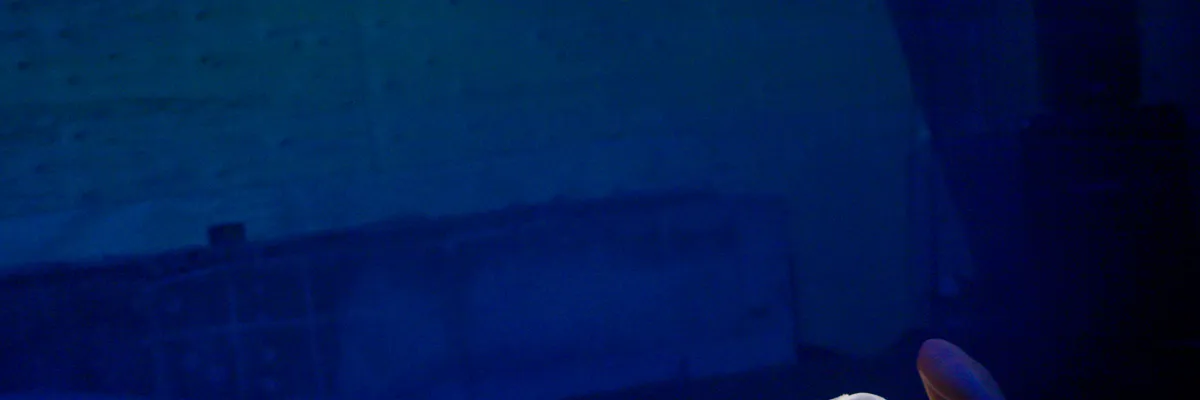 Kulturnat 2012: Danseforestillingen Buzz