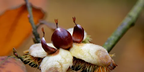 Ugens kedeligste galleri