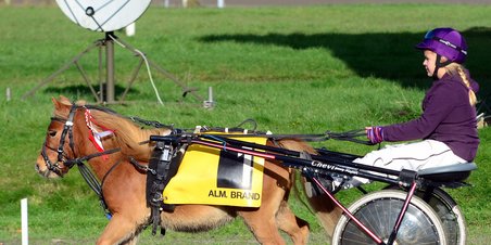 JVB:  Ponyvæddeløb