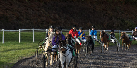 JVB - Ponyvæddeløb 