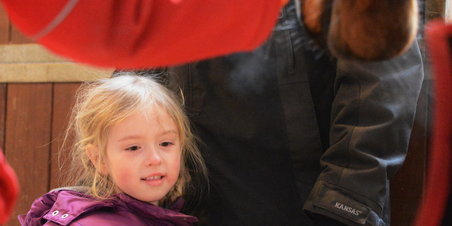 Heste i børnehøjde og bidende kulde