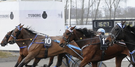 DM for travtrænere på Jvb