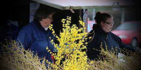 Grønttorvet - forår?