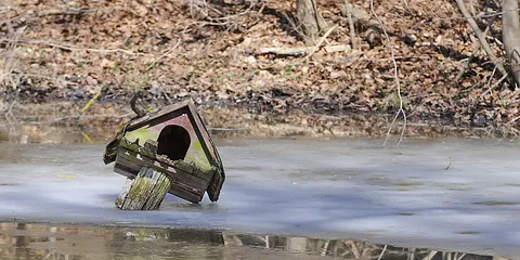 Med autofocus på foråret syd for Århus, set mod venstre