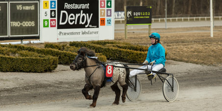 JVB - Ponyvæddeløb