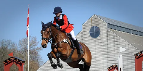 Landsstævne i springridning