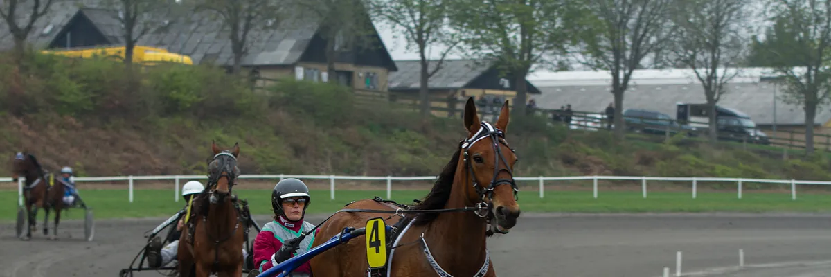 JVB - Nordisk travdag
