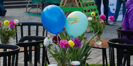 Frivillighedens dag 2013