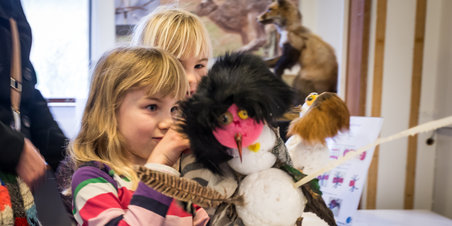 Mærkelige dyr på Naturhistorisk Museeum