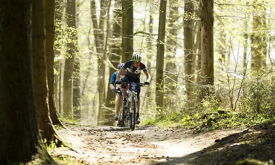 Red Bull Crossways 2014