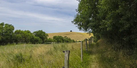 På fodtur i Mols Bjerge