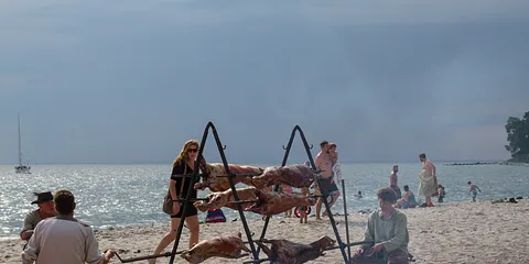 Danmarks største vikingetræf ved Moesgård 2014