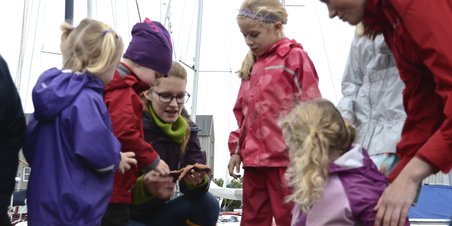 Havnens skjulte natur