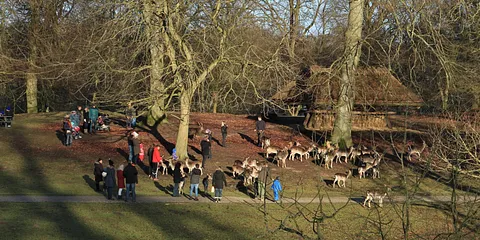 Marselisborg dyrehave