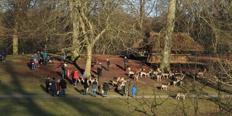 Marselisborg dyrehave