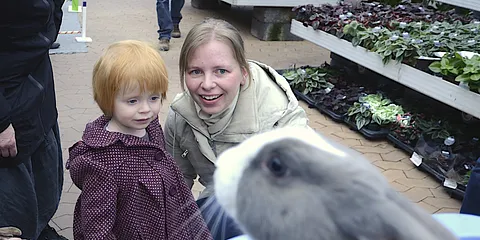 Plantorama, dyrenes dag