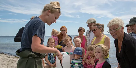Med strandkokkene på opdagelse