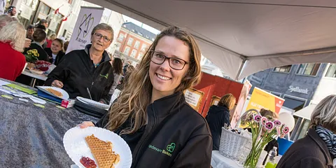 Frivillig Fredag 2015