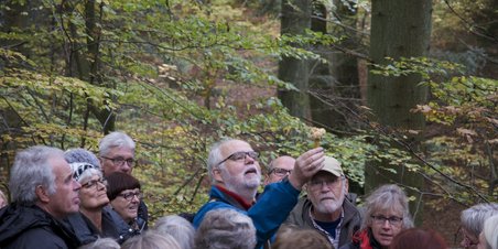 Svampetur i Marselisborg Skovene