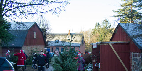 Jul i Skrald Skovridergård