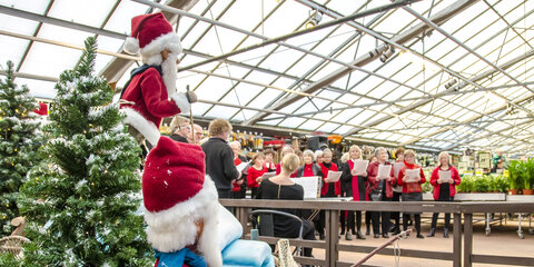 Julekor i Plantorama