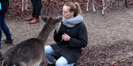 Spadseretur i Marselisborg skov og Dyrehaven 