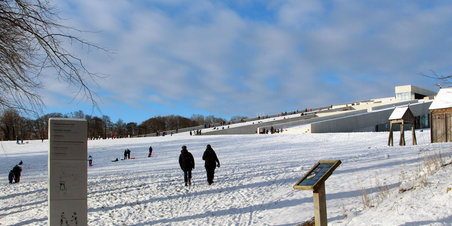 Kælketur på Moesgaard Museum