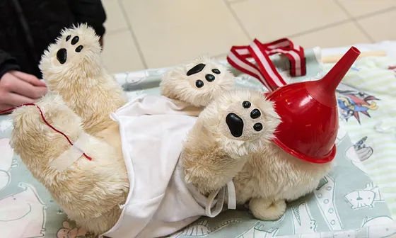 Bamsehospitalet i Bruuns