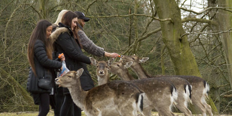 Dyrehaven Skærtorsdag