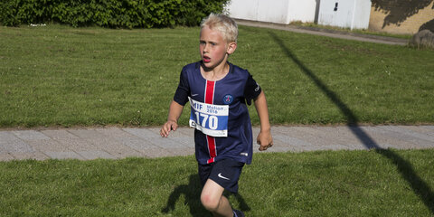 Pandekageløbet 2016