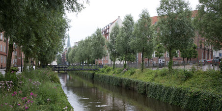 Å vandring med Aarhus Explorers