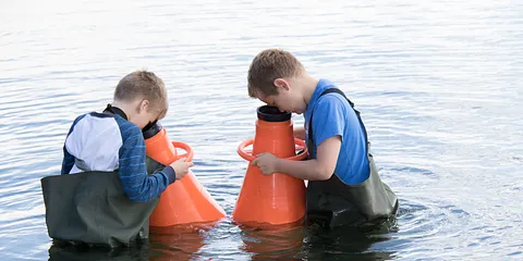 De Rullende Strandkokke