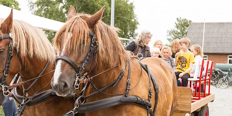 Kræmmermarked i St. Sjørup