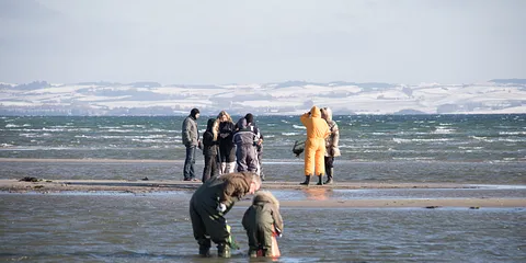 Alt godt fra Aarhus Bugten