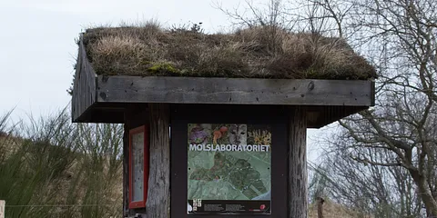 Mols - en tidlig forårsdag