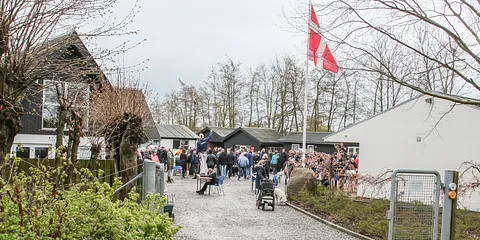 Hundemarch ved Dyreinternat
