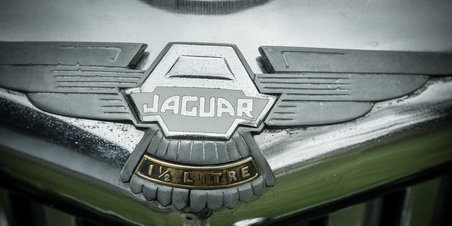 Veteranbiler på Fristedet Skæring