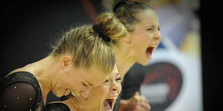 DM i Team Gym Seniorer